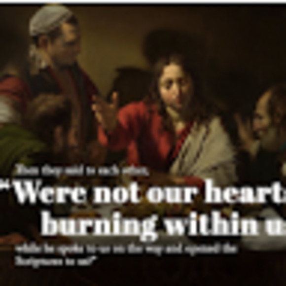 Meet your Posher, Diana - Picture 1 of 2